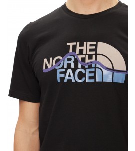 T-shirt north face