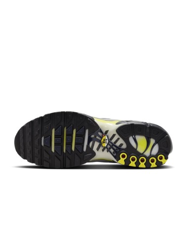 Nike air max PLUS TN