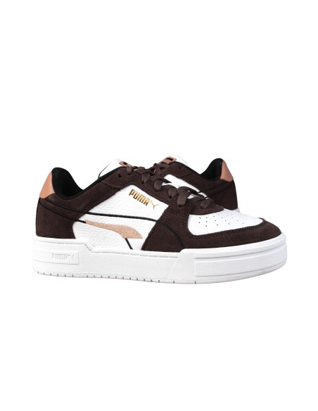 Puma ca pro choco