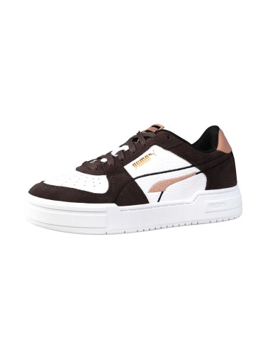 Puma ca pro choco