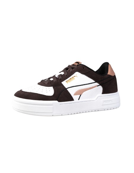 Puma ca pro choco