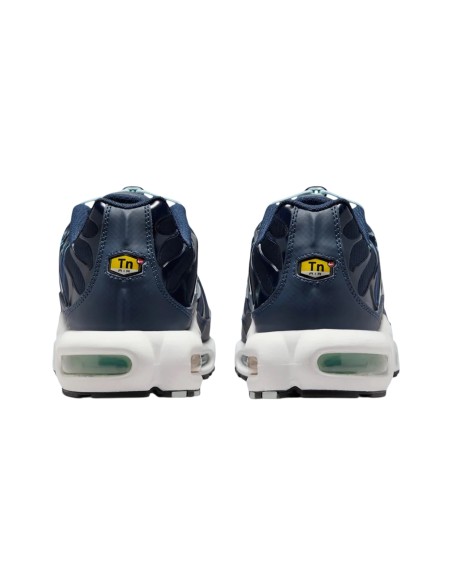 Nike air max plus TN